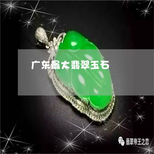 广东最大翡翠玉石/2023062050625