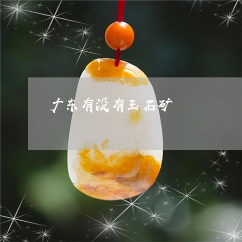 广东有没有玉石矿/2023122074806