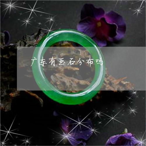 广东有玉石分布吗/2023122048148