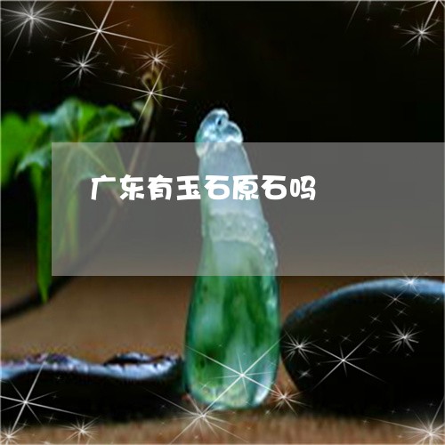 广东有玉石原石吗/2023122074615