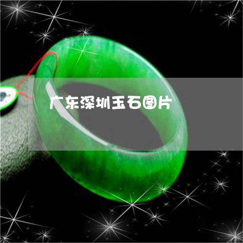 广东深圳玉石图片/2023122087369