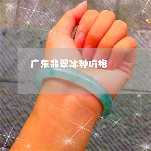 广东翡翠冰种价格/2023062064937