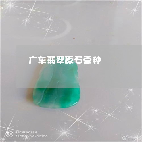 广东翡翠原石豆种/2023122046157