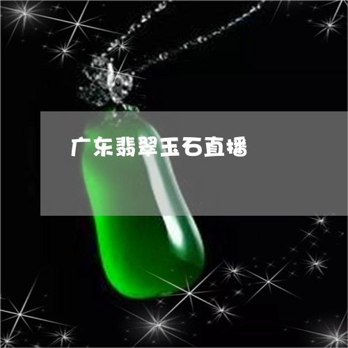 广东翡翠玉石直播/2023122094735