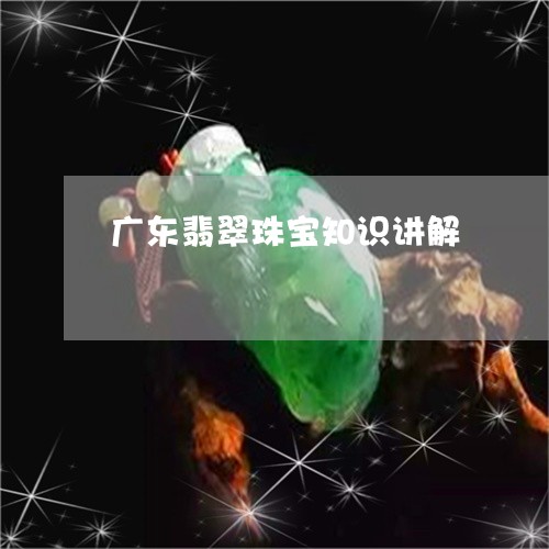 广东翡翠珠宝知识讲解/2023110635950