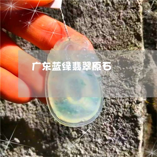 广东蓝绿翡翠原石/2023062081715