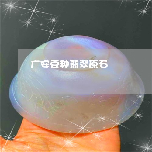 广安豆种翡翠原石/2023062038379