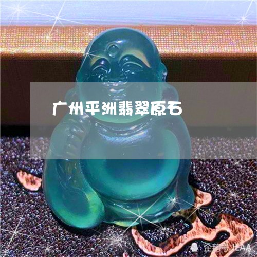 广州平洲翡翠原石/2023122081593