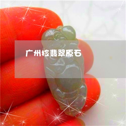 广州捡翡翠原石/2023100693715