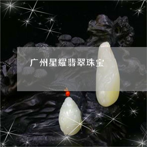 广州星耀翡翠珠宝/2023062082925