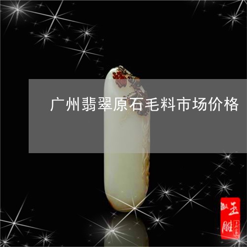 广州翡翠原石毛料市场价格/2023073107158