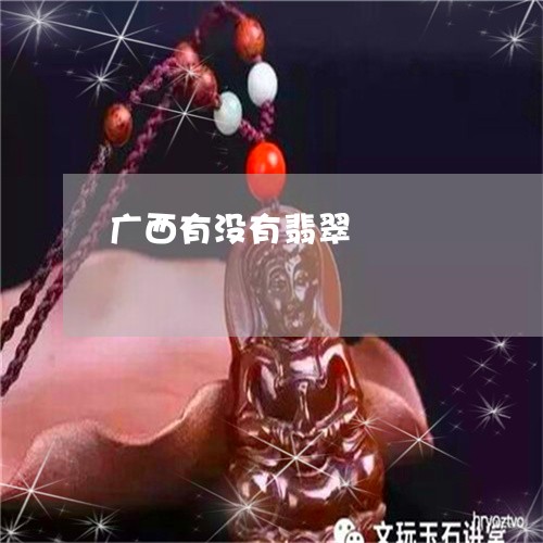 广西有没有翡翠/2023062304948