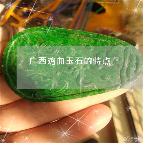 广西鸡血玉石的特点/2023120305472