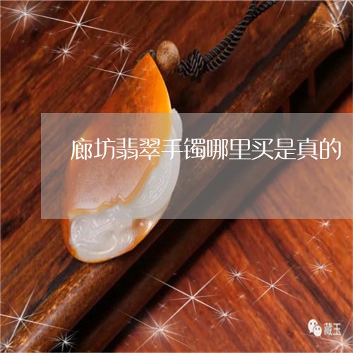 廊坊翡翠手镯哪里买是真的/2023073106249