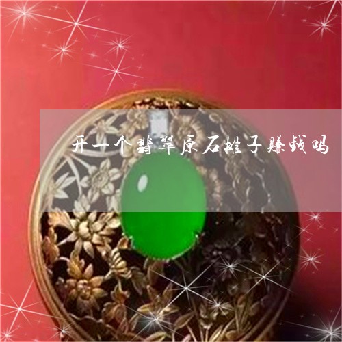 开一个翡翠原石摊子赚钱吗/2023073170597