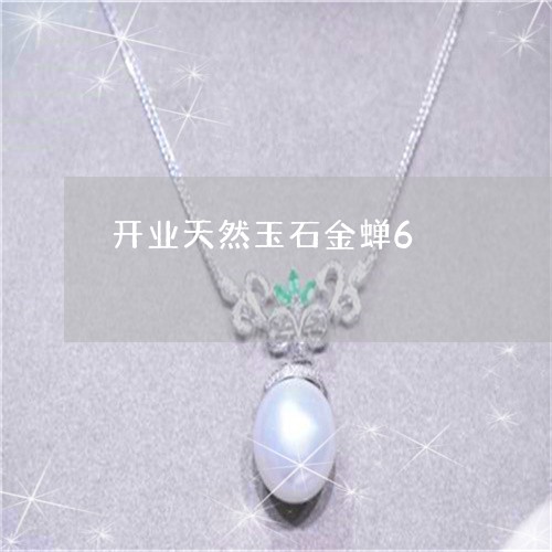 开业天然玉石金蝉6/2023082797160