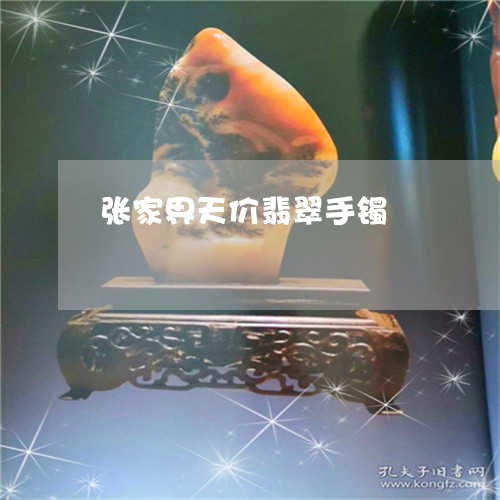 张家界天价翡翠手镯/2023120470481