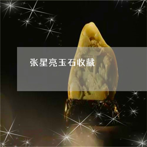 张星亮玉石收藏/2023082481575