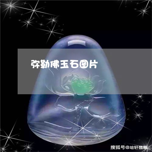 弥勒佛玉石图片/2023082491616