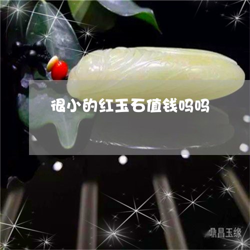 很小的红玉石值钱吗吗/2023110796171