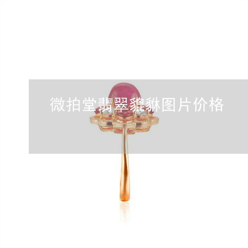 微拍堂翡翠貔貅图片价格/2023052289593