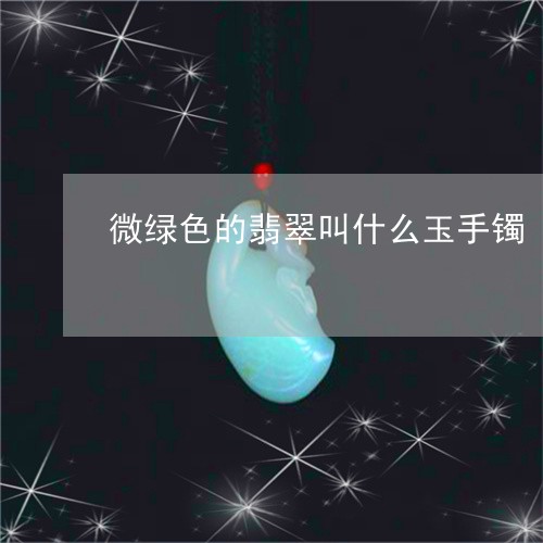 微绿色的翡翠叫什么玉手镯/2023100585847