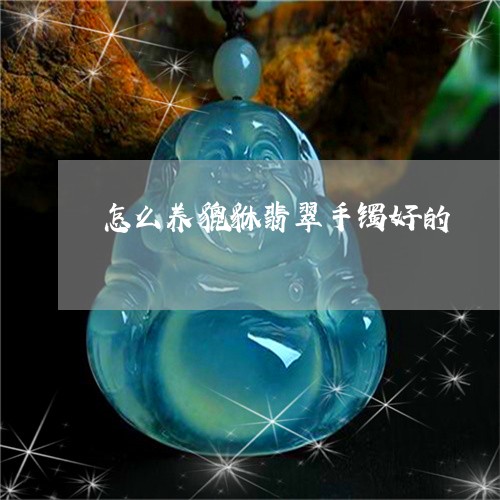 怎么养貔貅翡翠手镯好的/2023071085970