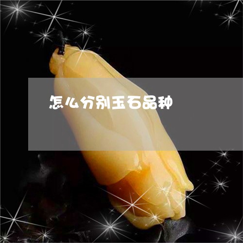 怎么分别玉石品种/2023062034616