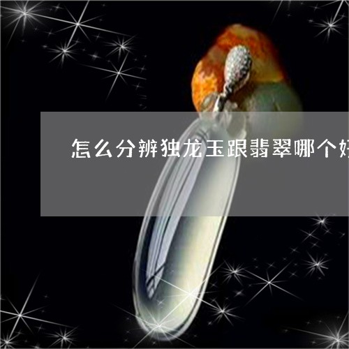 怎么分辨独龙玉跟翡翠哪个好/2023112370472