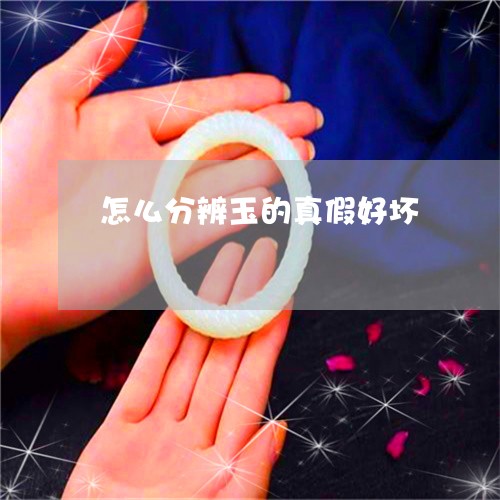 怎么分辨玉的真假好坏/2023110762604