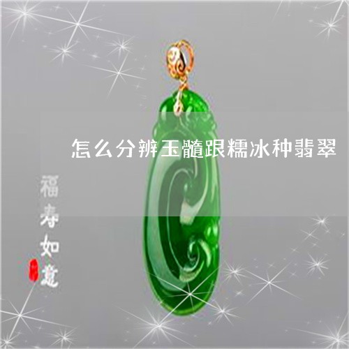 怎么分辨玉髓跟糯冰种翡翠/2023080112915