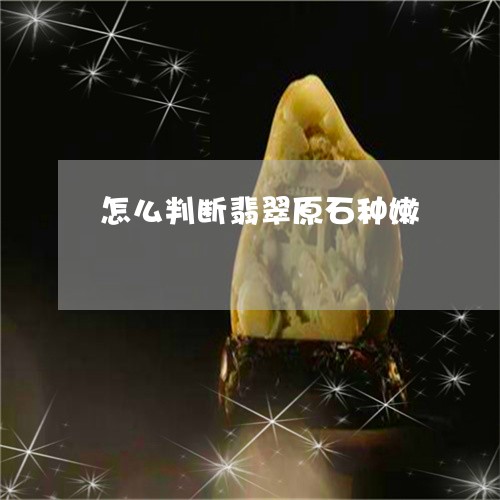 怎么判断翡翠原石种嫩/2023110752250