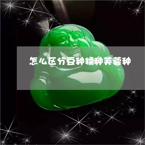 怎么区分豆种糯种芙蓉种/2023070903704