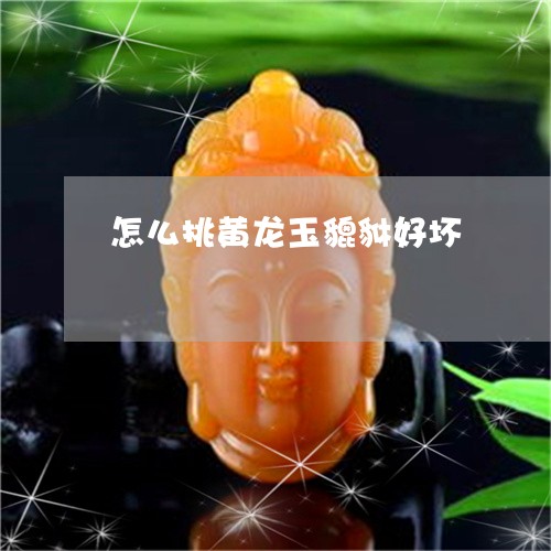 怎么挑黄龙玉貔貅好坏/2023110799392