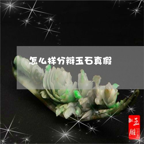 怎么样分辩玉石真假/2023082710607