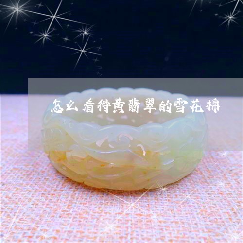 怎么看待黄翡翠的雪花棉/2023041596592