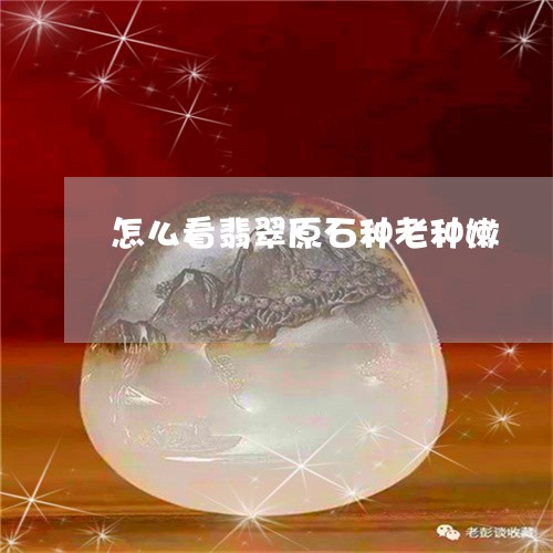 怎么看翡翠原石种老种嫩/2023081262694