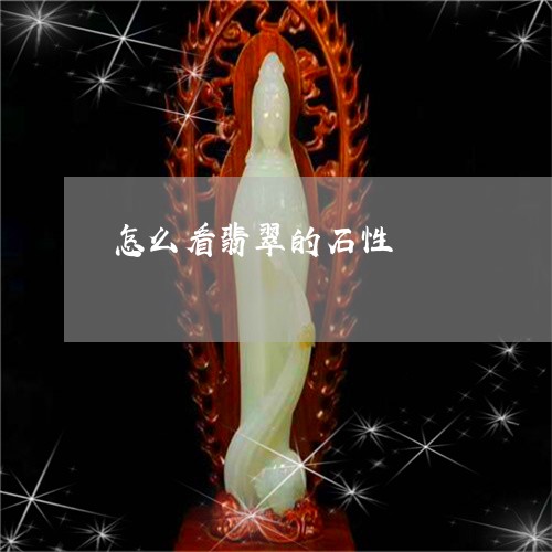 怎么看翡翠的石性/2023122194816