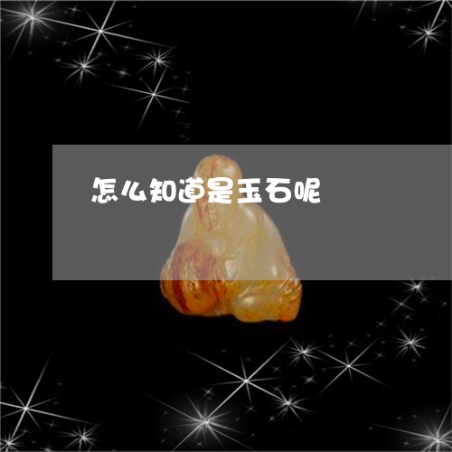 怎么知道是玉石呢/2023062166240