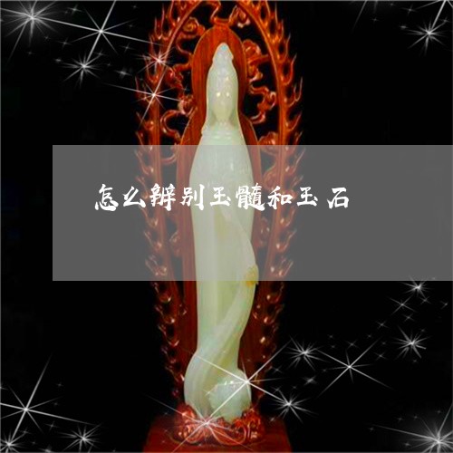 怎么辨别玉髓和玉石/2023032127594