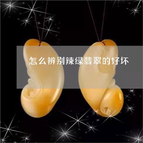 怎么辨别辣绿翡翠的好坏/2023041547583