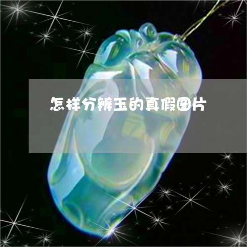 怎样分辨玉的真假图片/2023110676361