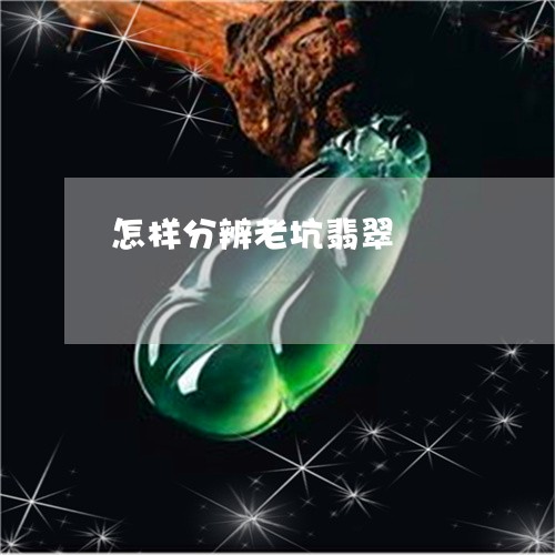 怎样分辨老坑翡翠/2023062193624