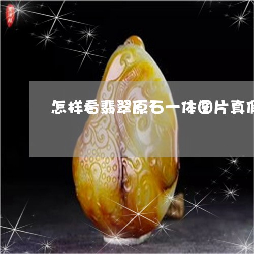 怎样看翡翠原石一体图片真假/2023120345036