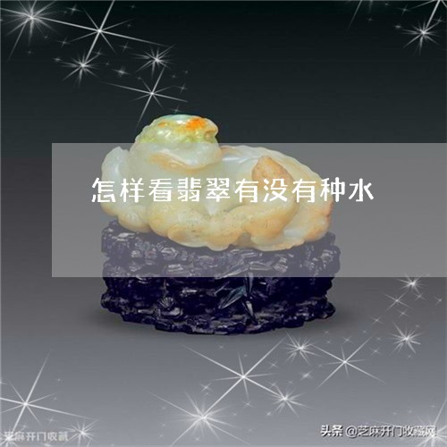 怎样看翡翠有没有种水/2023110647362