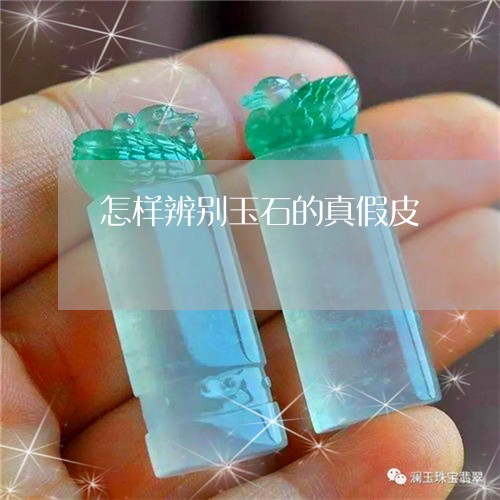 怎样辨别玉石的真假皮/2023110658271