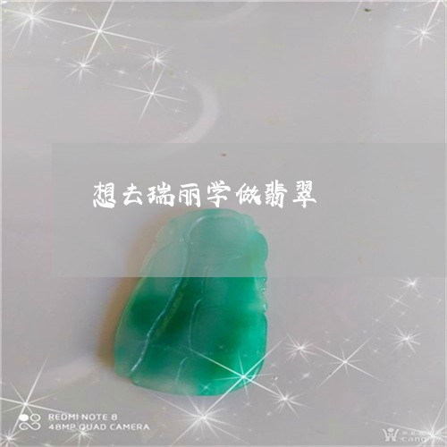 想去瑞丽学做翡翠/2023122193838