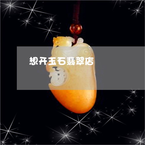 想开玉石翡翠店/2023062331605