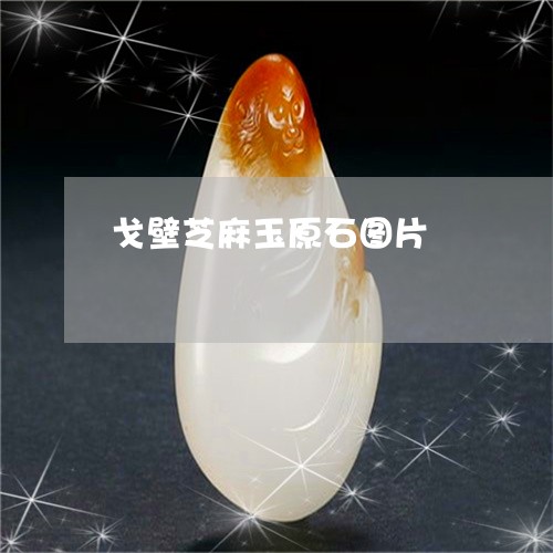 戈壁芝麻玉原石图片/2023120461613