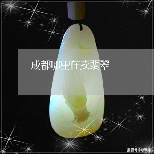 成都哪里在卖翡翠/2023122141714